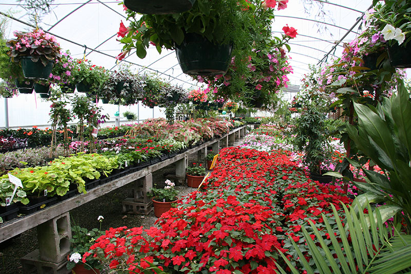 Green Thumb Nursery & Greenhouses Bartlesville, Oklahoma